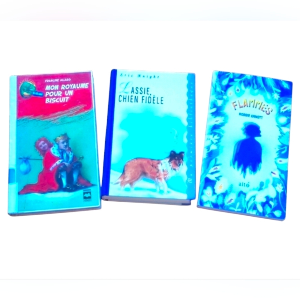 💥5/20$ Bundle 3 random french novels